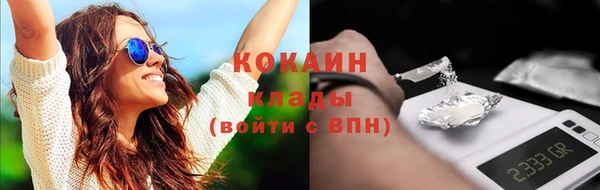 гидропоника Каменка
