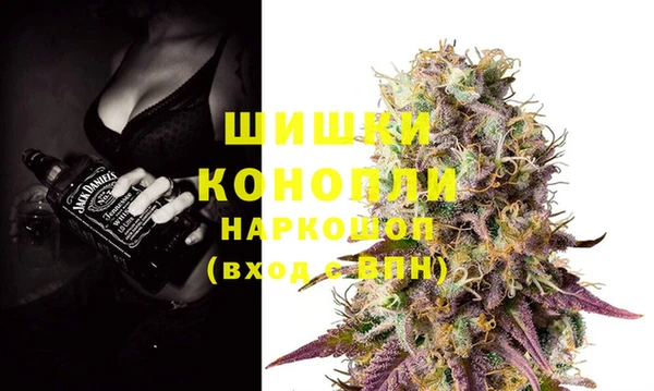гидропоника Каменка