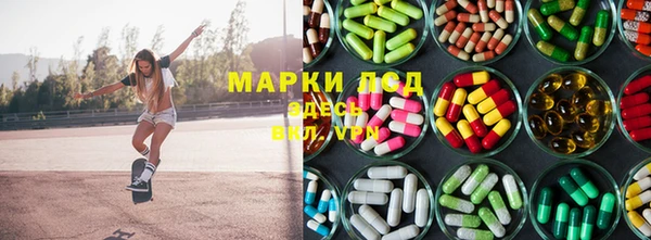 гидропоника Каменка