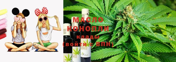 гидропоника Каменка