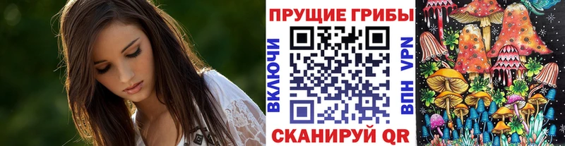 Псилоцибиновые грибы Psilocybe  ОМГ ОМГ сайт  Кингисепп 