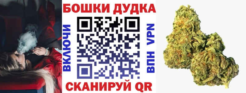 купить Кингисепп Шишки марихуана OG Kush
